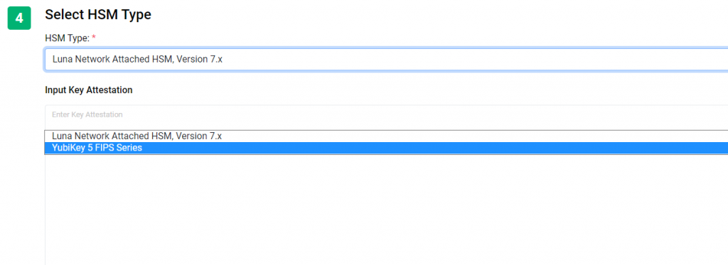 Select HSM Type