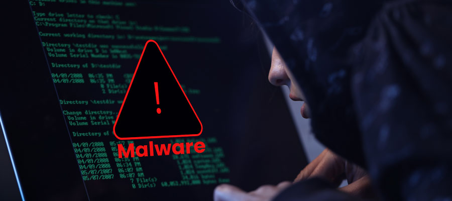 what is software malware