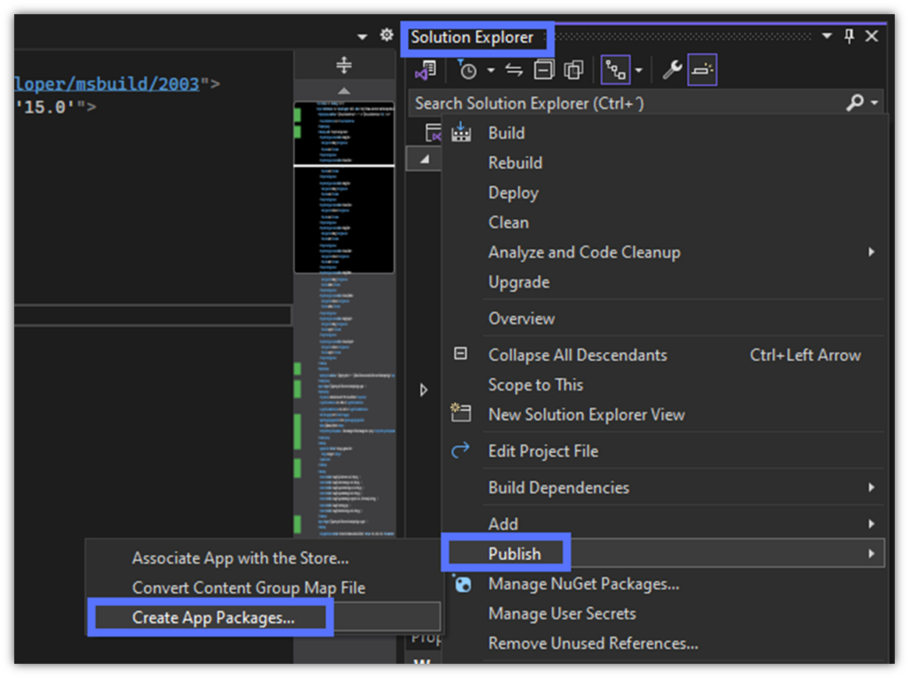 Visual Studio Publish Package